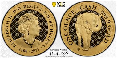 2021 £100 Elephant Cash Indian Wildlife MS70