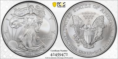 2008-W $1 Burnished Silver Eagle Reverse of 2007 SP70