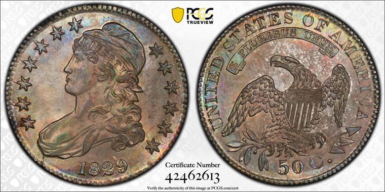 Cert 42462613 - Coin Image