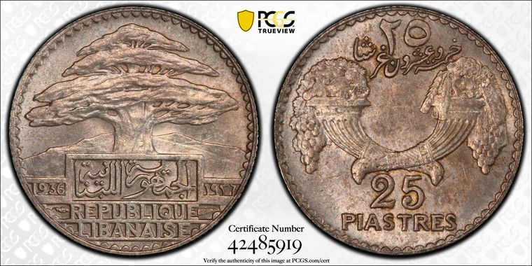 Cert 42485919 - Coin Image