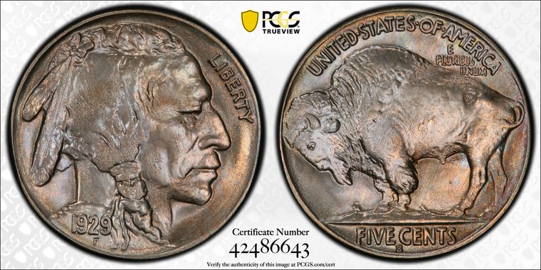 Cert 42486643 - Coin Image