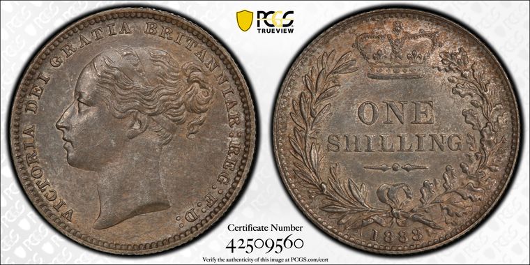 Cert 42509560 - Coin Image