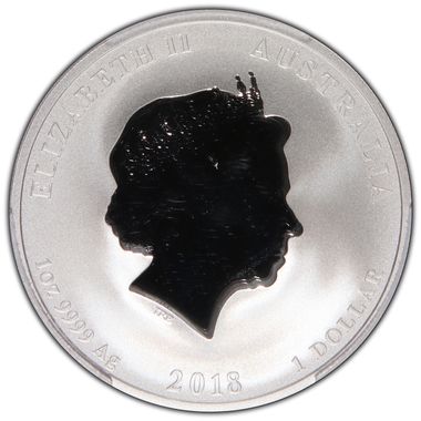 Cert 42513993 - Coin Image