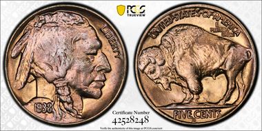 1938-D/D 5C Buffalo MS65