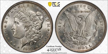 1891-CC $1 VAM 3, Spitting Eagle MS64