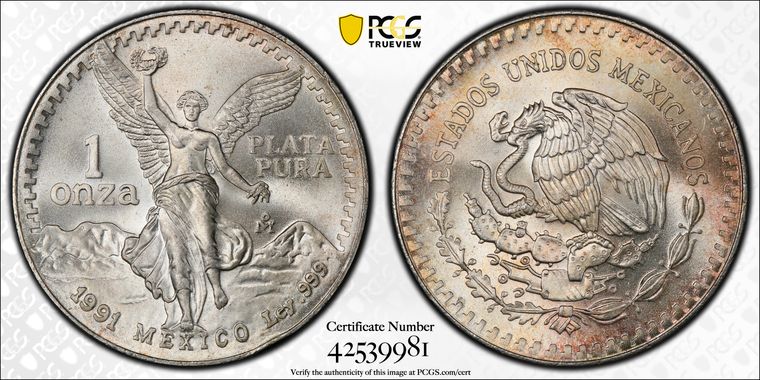 Cert 42539981 - Coin Image