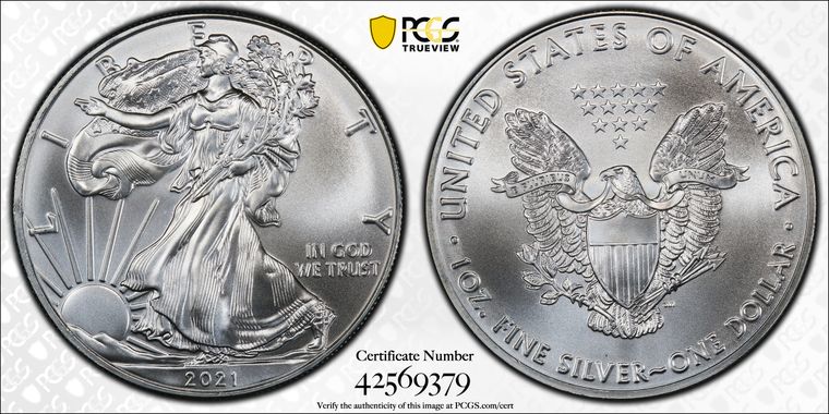 Cert 42569379 - Coin Image