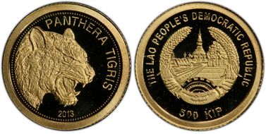 2013 500 K Panthera Tigris PR70DCAM