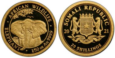 2021 20 S African Elephant Au 1/50oz MS69