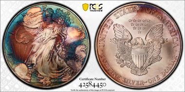 1996 $1 Silver Eagle MS67