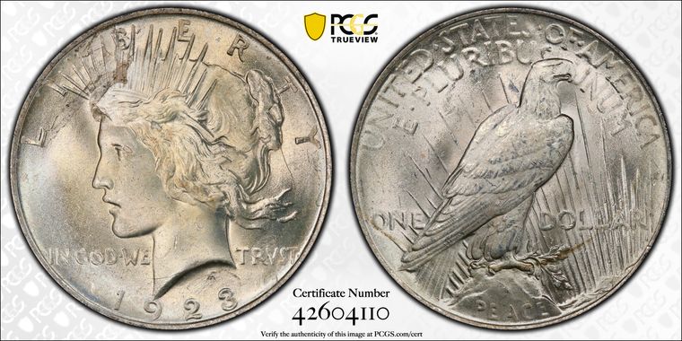 Cert 42604110 - Coin Image