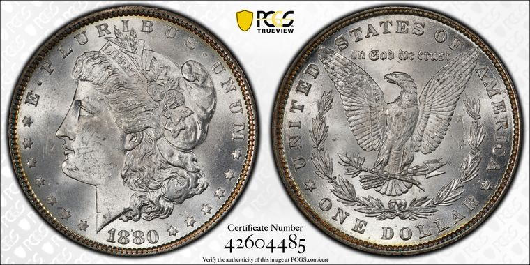 Cert 42604485 - Coin Image