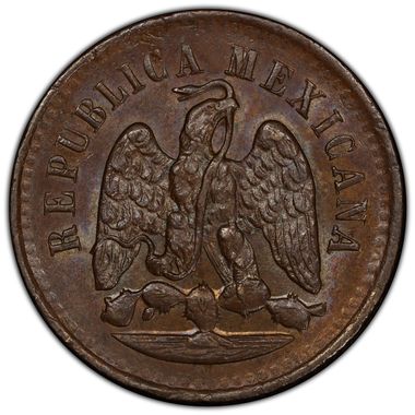 Cert 42620411 - Coin Image