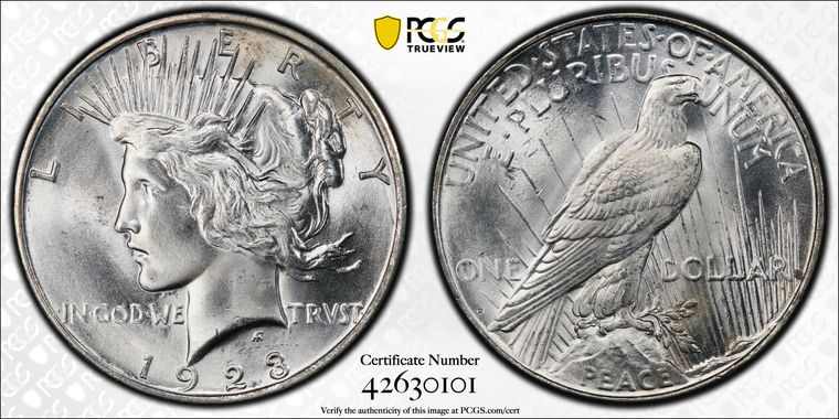 Cert 42630101 - Coin Image