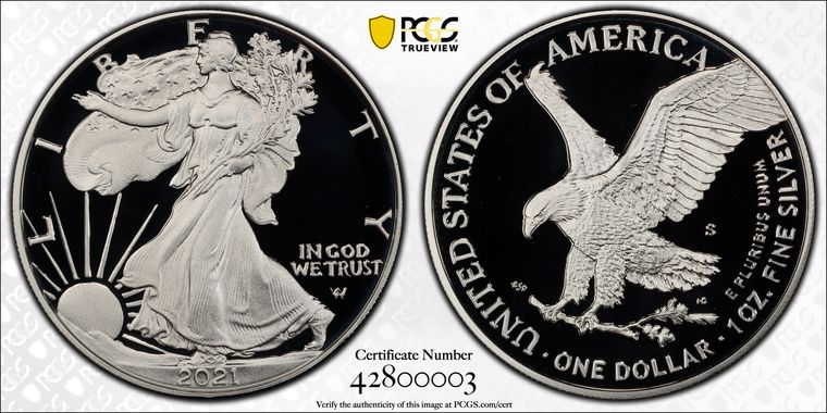 Cert 42800003 - Coin Image