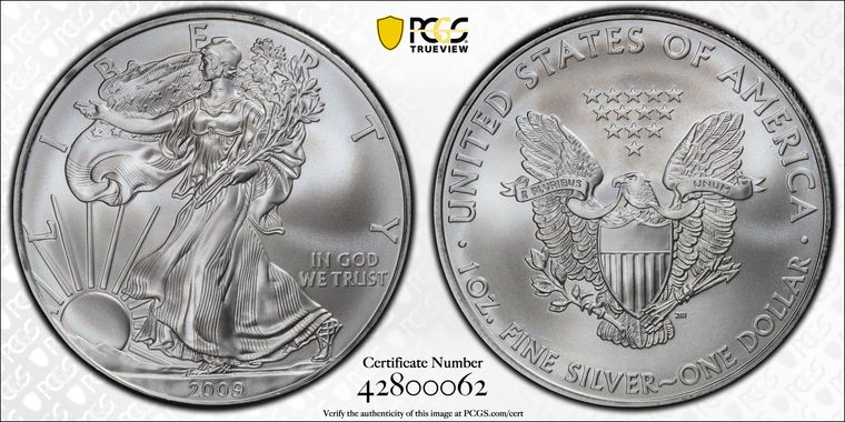 Cert 42800062 - Coin Image