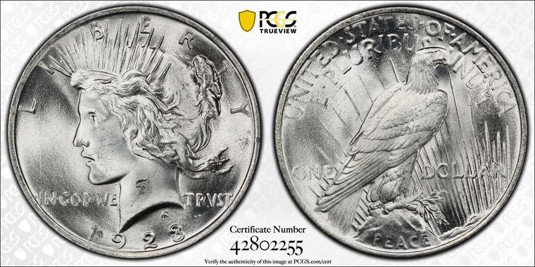 Cert 42802255 - Coin Image