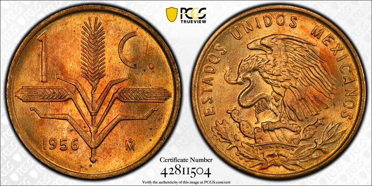 Cert 42811504 - Coin Image