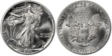 1989 $1 Silver Eagle MS65
