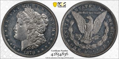 1878 8TF $1 VAM 14.17, Chip in Ear AU58