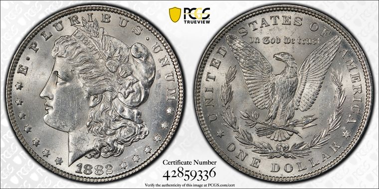 Cert 42859336 - Coin Image