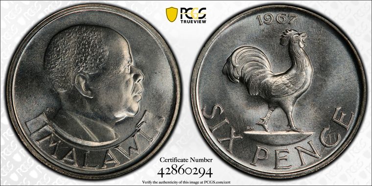 Cert 42860294 - Coin Image