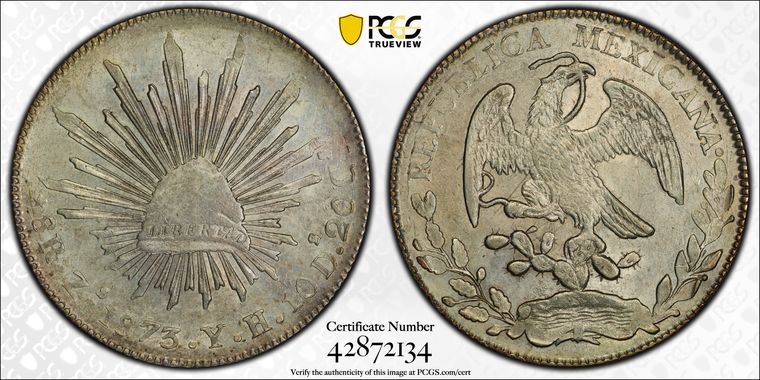 Cert 42872134 - Coin Image