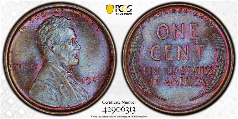 Cert 42906313 - Coin Image