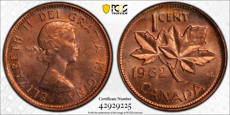 Cert 42929225 - Coin Image