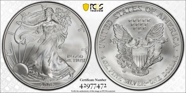 2006-W $1 Burnished Silver Eagle SP69