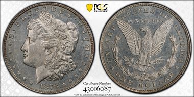 1878 8TF $1 VAM 14.9 Tripled Eyelid MS60