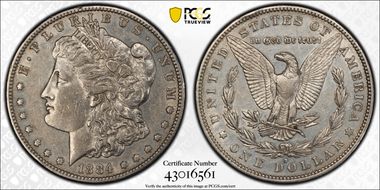 1884-S $1 N1