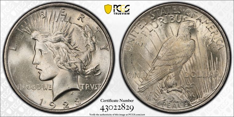 Cert 43022829 - Coin Image