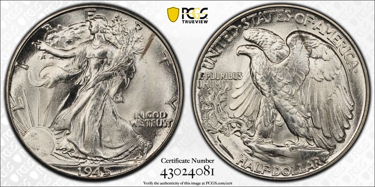 Cert 43024081 - Coin Image