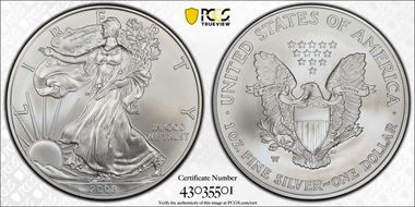 2008-W $1 Burnished Silver Eagle Reverse of 2007 SP70