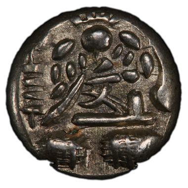 Cert 43041833 - Coin Image