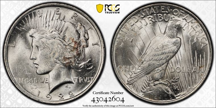 Cert 43042604 - Coin Image