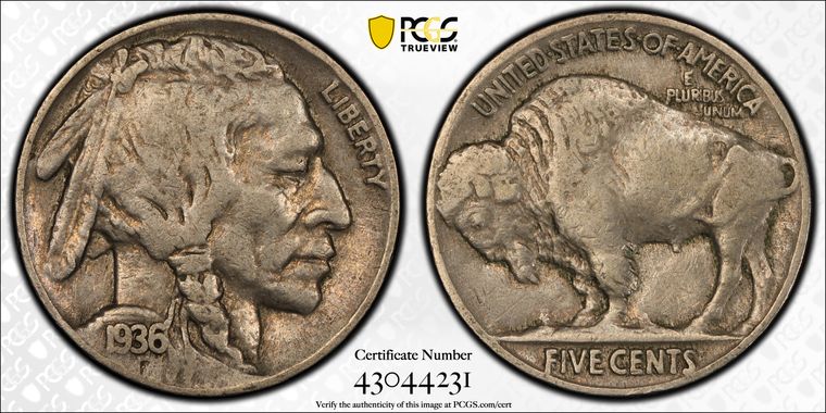 Cert 43044231 - Coin Image