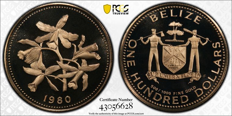 Cert 43056628 - Coin Image