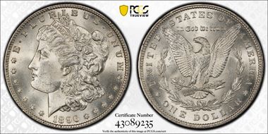 1896 $1 VAM 19, 8 in Denticle MS63