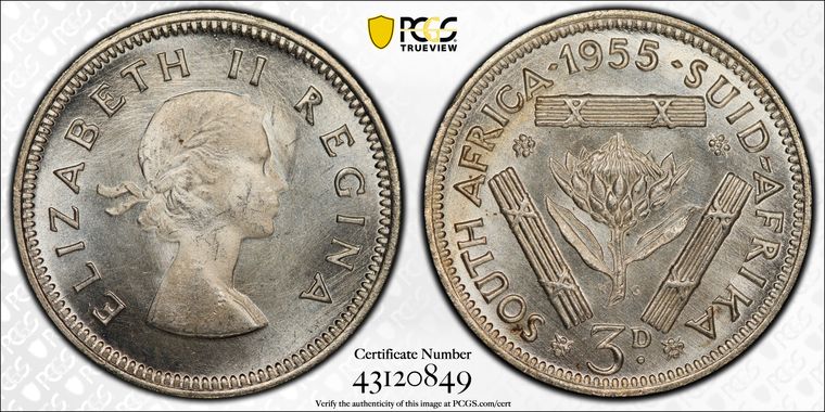 Cert 43120849 - Coin Image