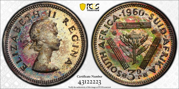 Cert 43122223 - Coin Image