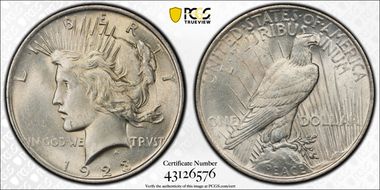 1923 $1 VAM 1AA Extra Hair MS63