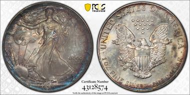 1989 $1 Silver Eagle MS65