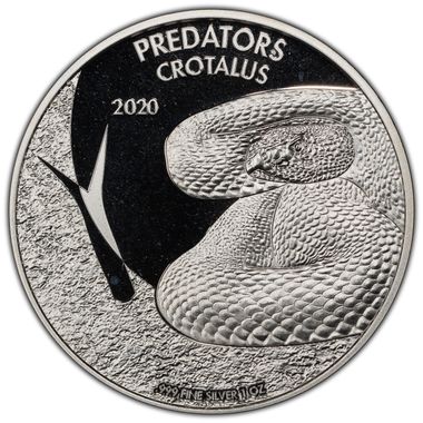 Cert 43128576 - Coin Image