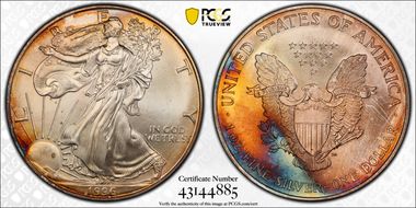 1996 $1 Silver Eagle MS67