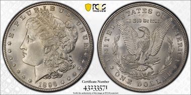 1896 $1 VAM 19, 8 in Denticle MS65