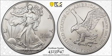 2021-W $1 Burnished Silver Eagle-Type 2 First Strike SP70