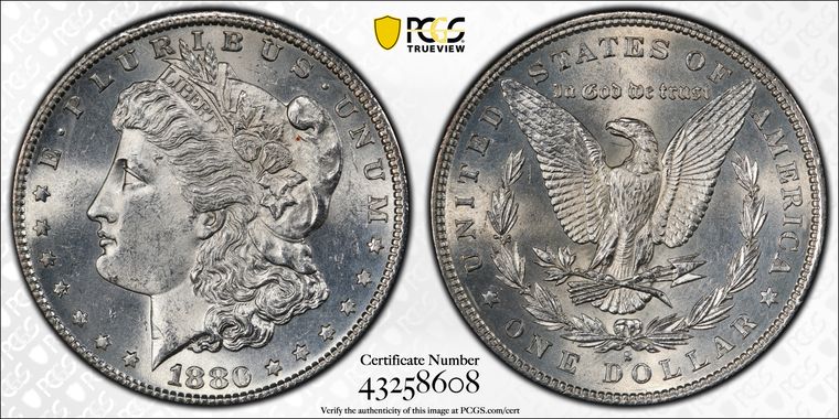 Cert 43258608 - Coin Image