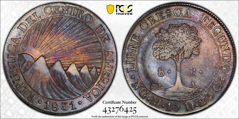 Cert 43276425 - Coin Image